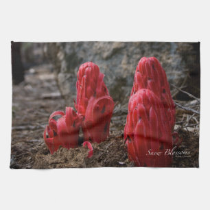 Sneeuwbloesems Theedoek