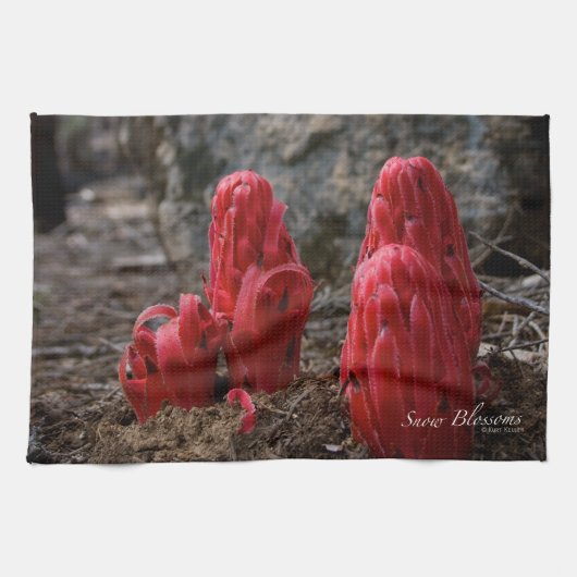 Sneeuwbloesems Theedoek (Horizontaal)