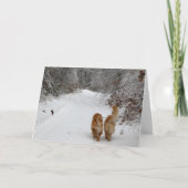 sneeuwbogen kaart (Voorkant)