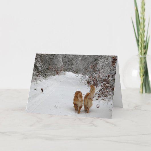 sneeuwbogen kaart (Voorkant)