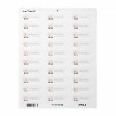 Sneeuwbol Pinguïn Retouradreslabels Etiket (Full Sheet)