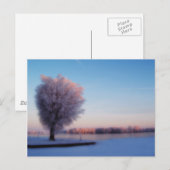Sneeuwbomen Ansichtkaart Briefkaart (Voorkant / Achterkant)