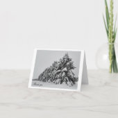 Sneeuwbomen Bedankkaart (Voorkant)