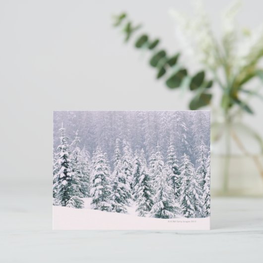 Sneeuwbomen Briefkaart (Staand voorkant)