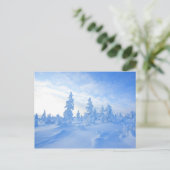 sneeuwbomen in Lapland in Finland Briefkaart (Staand voorkant)