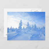 sneeuwbomen in Lapland in Finland Briefkaart (Voorkant / Achterkant)