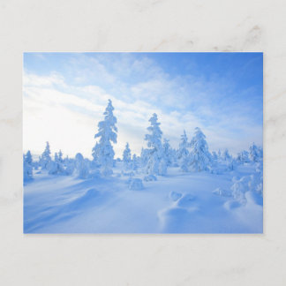 sneeuwbomen in Lapland in Finland Briefkaart