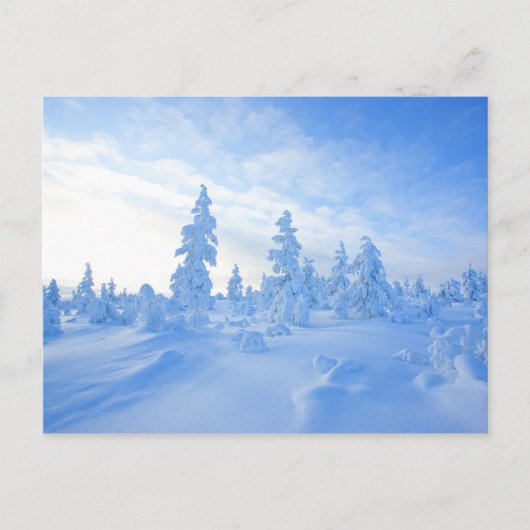 sneeuwbomen in Lapland in Finland Briefkaart (Voorkant)