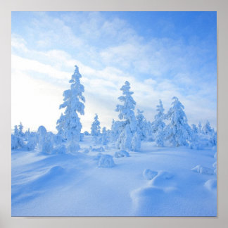 sneeuwbomen in Lapland in Finland Poster