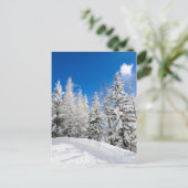 Sneeuwbomen onder een duidelijk blauw briefkaart (Staand voorkant)