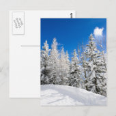 Sneeuwbomen onder een duidelijk blauw briefkaart (Voorkant / Achterkant)