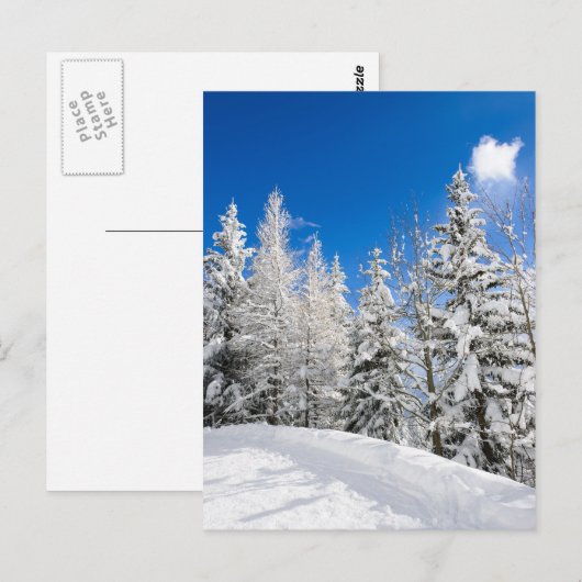 Sneeuwbomen onder een duidelijk blauw briefkaart (Voorkant / Achterkant)
