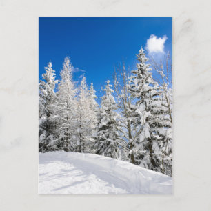 Sneeuwbomen onder een duidelijk blauw briefkaart