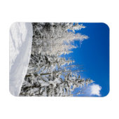 Sneeuwbomen onder een heldere blauwe hemel vertica magneet (Horizontaal)