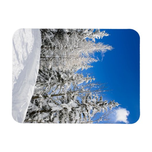 Sneeuwbomen onder een heldere blauwe hemel vertica magneet (Horizontaal)
