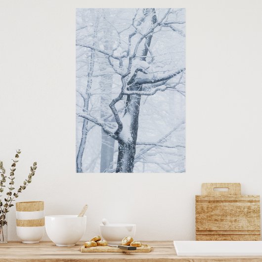 Sneeuwboom, bevroren poster (Keuken)