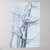 Sneeuwboom, bevroren poster (Voorkant)