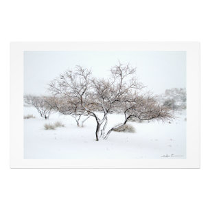 Sneeuwboom door Sidharta Pascual Foto Afdruk