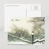 sneeuwboom in het centrale park briefkaart (Voorkant / Achterkant)