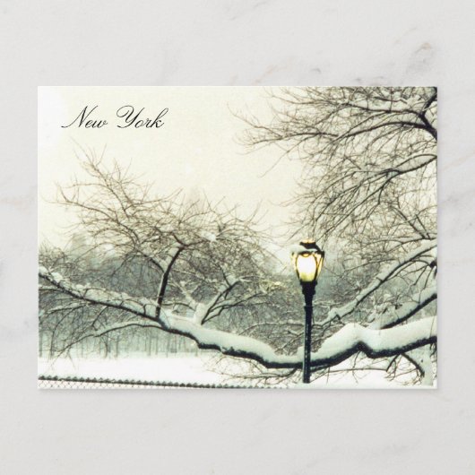 sneeuwboom in het centrale park briefkaart (Voorkant)