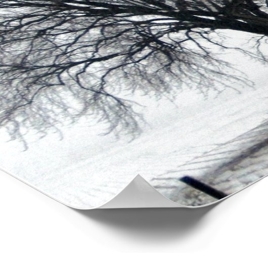 sneeuwboom poster (Hoek)