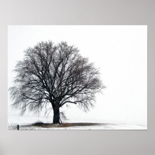 sneeuwboom poster (Voorkant)