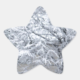 Sneeuwboom Ster Sticker