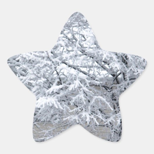 Sneeuwboom Ster Sticker (Voorkant)