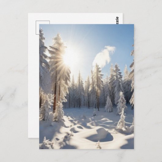 Sneeuwbos Briefkaart (Voorkant / Achterkant)