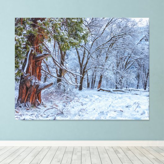 sneeuwbosscène canvas afdruk (Insitu (Houten vloer))