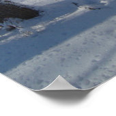 sneeuwBossen Poster (Hoek)