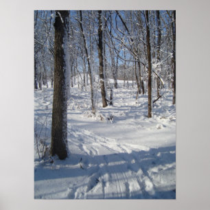 sneeuwBossen Poster