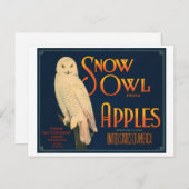 Sneeuwbrek Apples  Krat Label Briefkaart (Voorkant / Achterkant)