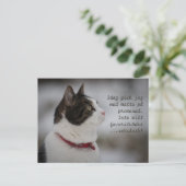 Sneeuwbrij CC0381 Kat Thoughts Briefkaart (Staand voorkant)