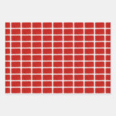 Sneeuwbringrand Inpakpapier Vel (Voorkant)