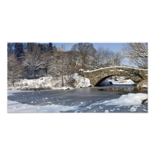 Sneeuwbrug en Ice Central Park Foto Afdruk