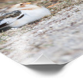 Sneeuwbundelfotografie afdrukken foto afdruk (Hoek)