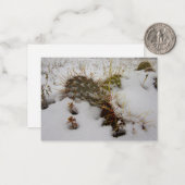 sneeuwcactus-vakantiekaart notitiekaartje (Voorkant / Achterkant in situ)