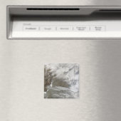 Sneeuwcover omcirkels Bo Hai Magneet (Insitu (Vaatwasser))