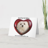 Sneeuwd de Maltese Birthday Card Kaart (Achterkant)