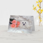 Sneeuwd de Maltese Birthday Card Kaart (Gele Bloem)