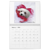 Sneeuwd de Maltese kalender (Feb 2026)