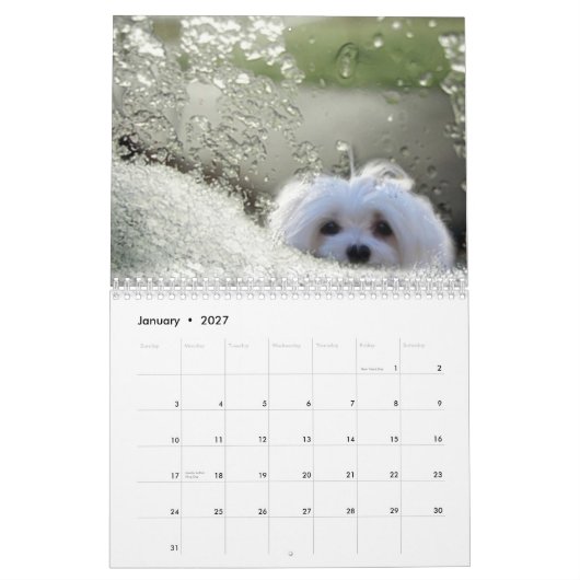 Sneeuwd de Maltese kalender (Jan 2027)