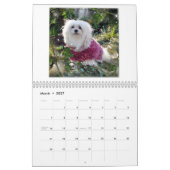 Sneeuwd de Maltese kalender (Mar 2027)