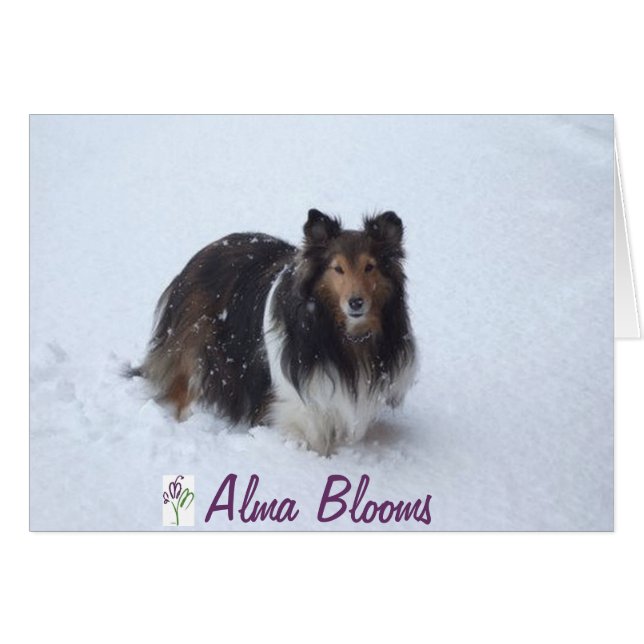 sneeuwdag (Voorkant Horizontaal)