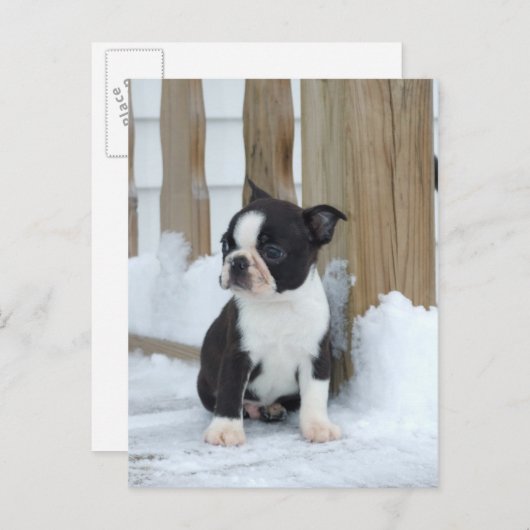 sneeuwdag briefkaart (Voorkant / Achterkant)