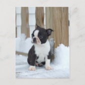 sneeuwdag briefkaart (Voorkant)