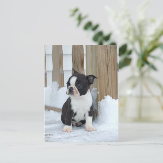 sneeuwdag briefkaart (Staand voorkant)