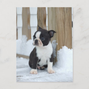 sneeuwdag briefkaart