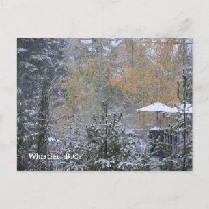 Sneeuwdag in Whistler B.C. Briefkaart